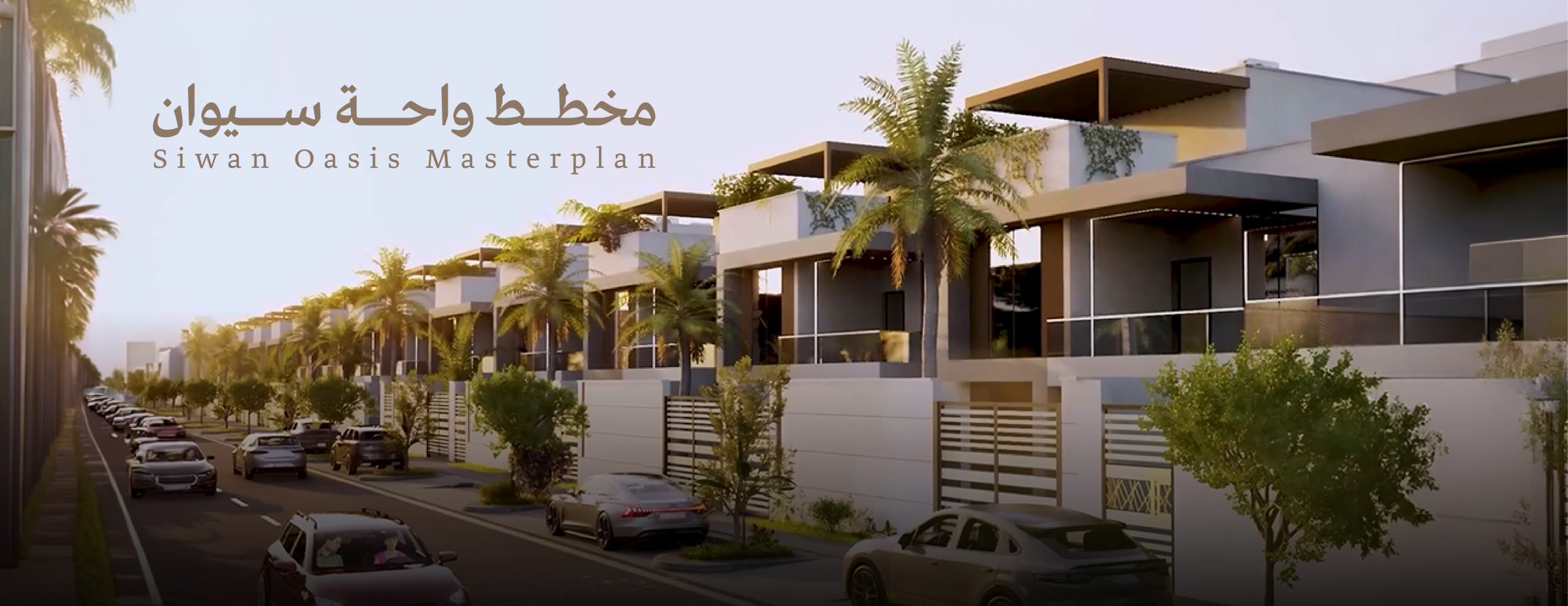بارك فيو